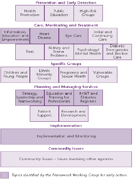 Diabetes Framework diagram